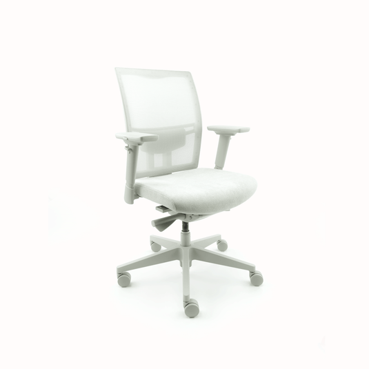 Boring Chair Mesh Regain refurbished